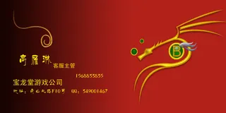 宝龙堂游戏公司