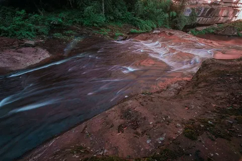 四川黄荆老林风景摄影图片