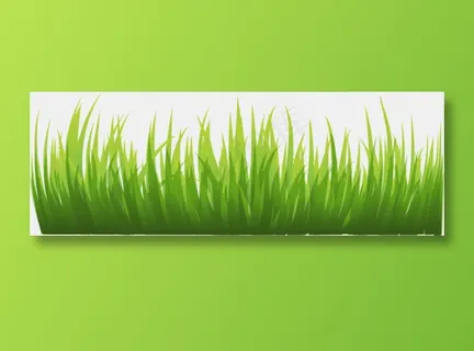 草地免扣png  草地免扣png