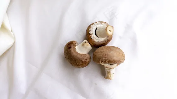 新鲜香菇高清图片素材 新鲜香菇高清图片素材