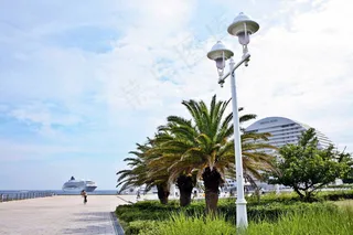 城市港口码头图片