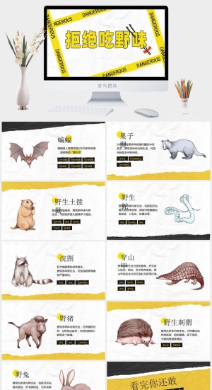 拒绝吃野味——野生动物保护ppt模板预览图