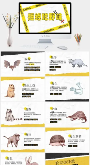 拒绝吃野味——野生动物保护ppt模板预览图