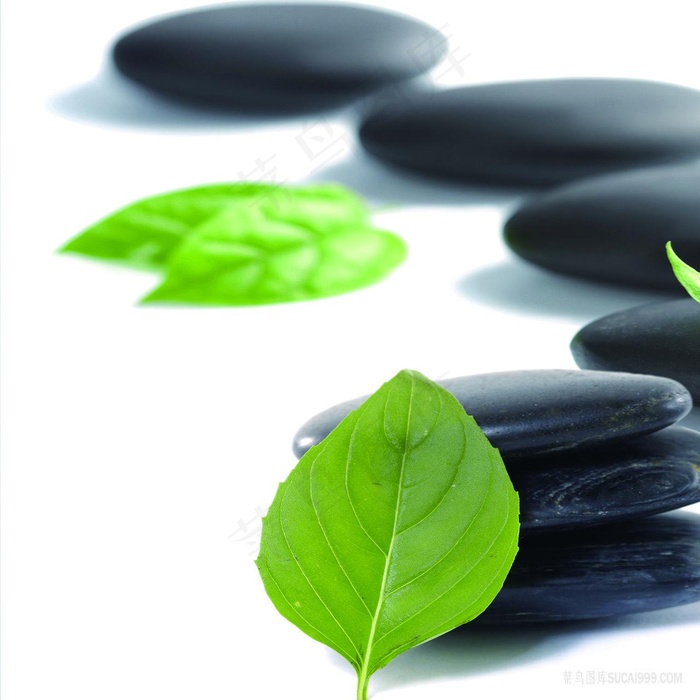 黑色石头树叶插画