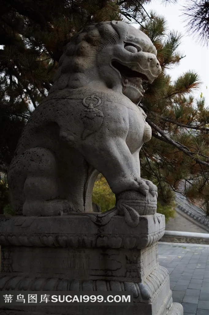 中国古代石狮子雕塑