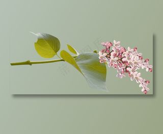 丁香花　　