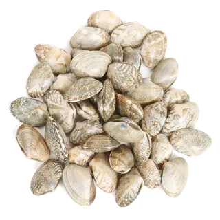 毛蛤海鲜超市商品红酒白底图免抠实物摄影png格式图片透明底