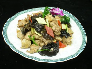 家常菜|美食|菜谱|菜单|0257老姜云耳炒仔鸡