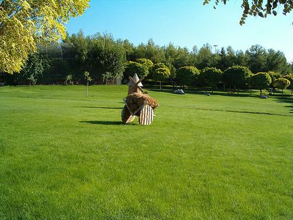 风景 天空 旅行美丽 (274)