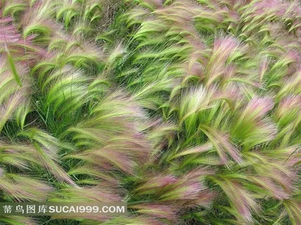 地理摄影系列 地理摄影系列