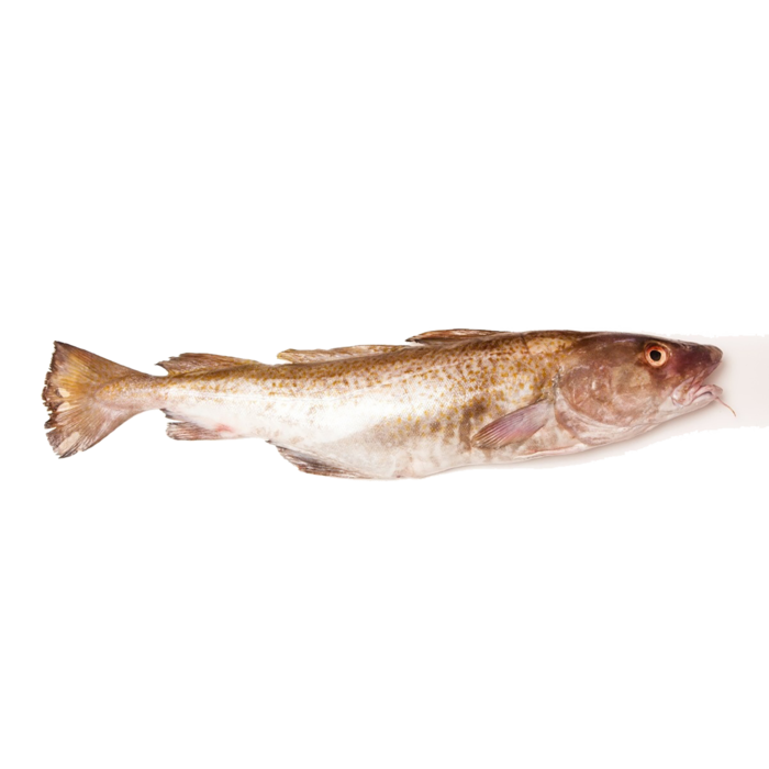 鱼类(63)海鲜超市商品红酒白底图免抠实物摄影png格式图片透明底