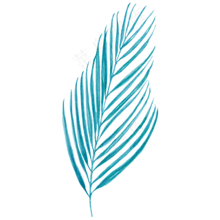 水彩插画-树叶14