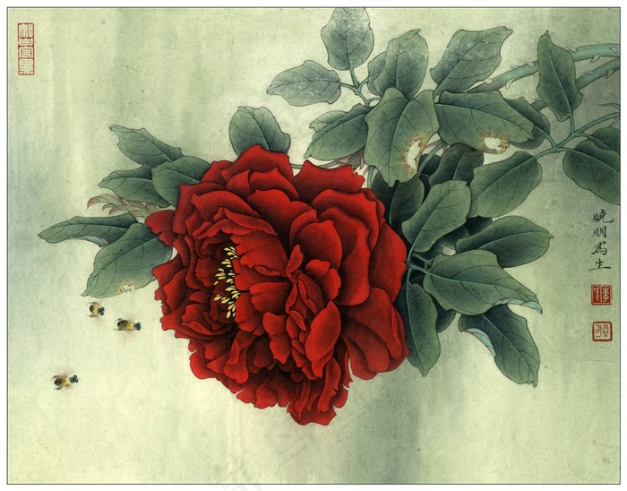 月季蜜蜂国画