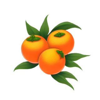 橘子橙子水果免抠