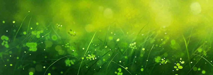 春天夏天绿色草地清新，春分立夏插画背景(1840x656)