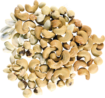 腰果免抠素材 (47)