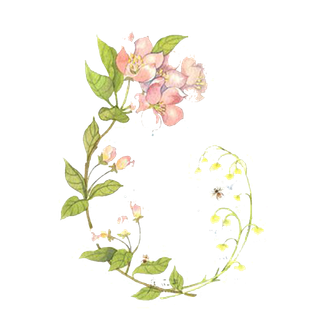 手绘花朵绿草小虫