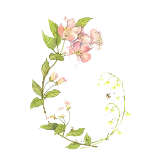 手绘花朵绿草小虫