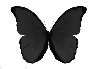 蝴蝶黑色蝴蝶免抠图