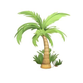 椰树棕榈树免抠