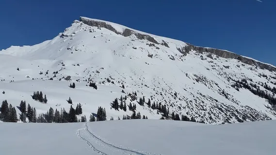 冬天自然背景风景 冬天自然背景风景