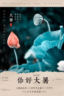 传统节气大暑海报