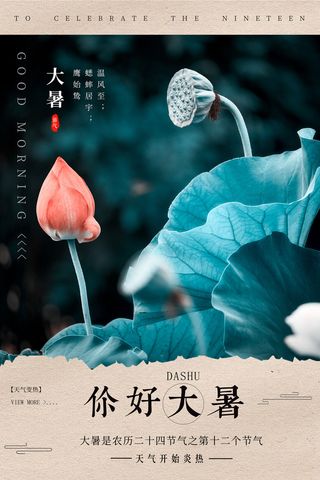 传统节气大暑海报