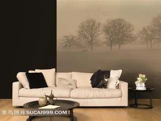 欧美室内效果图白沙发