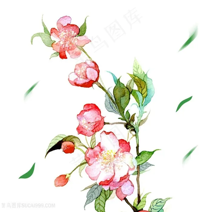 水彩海棠花插画