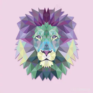 手绘矢量狮子头插画