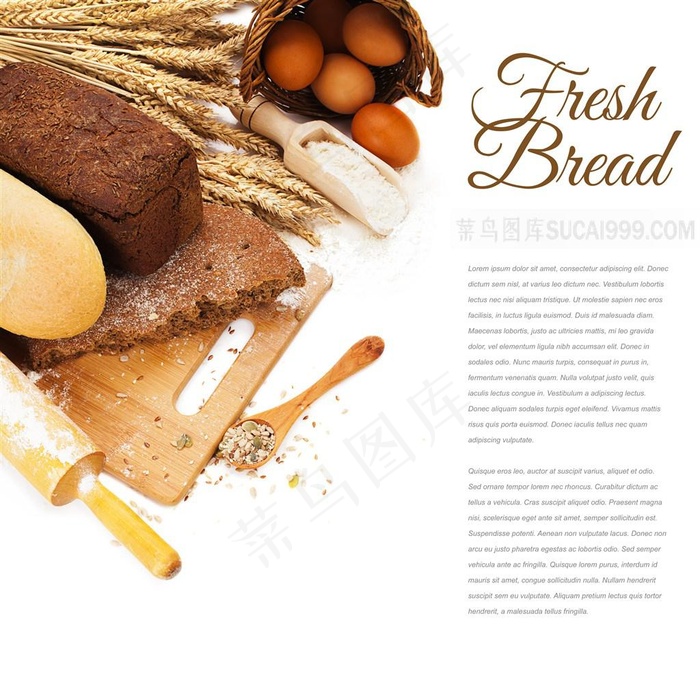 海报上的小麦作物高清图片