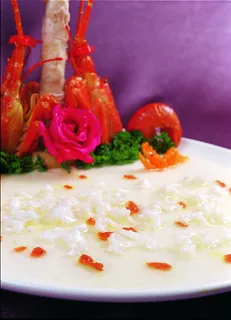 LCH2848白雪印金龙