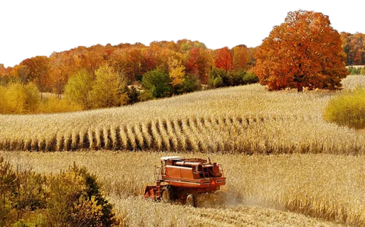 稻谷田现代农业 