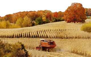 稻谷田现代农业 