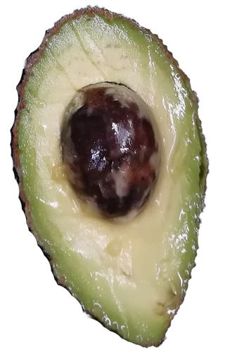 鳄梨牛油果切开尖头带核免抠实物实拍摄影元素素材