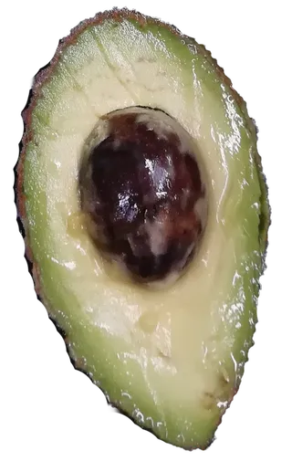 鳄梨牛油果切开尖头带核免抠实物实拍摄影元素素材