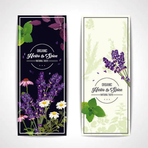 设计婚礼贺卡素材eps,ai矢量模版下载