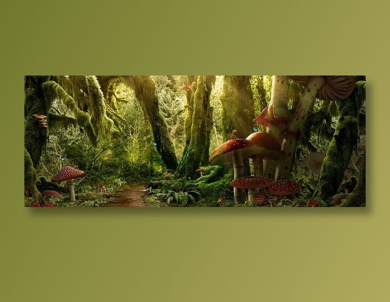 梦幻森林高清下载