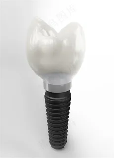 牙齿与修牙工具