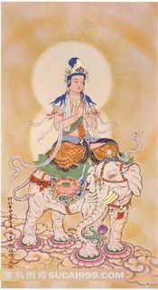 大行普贤菩萨摩诃萨