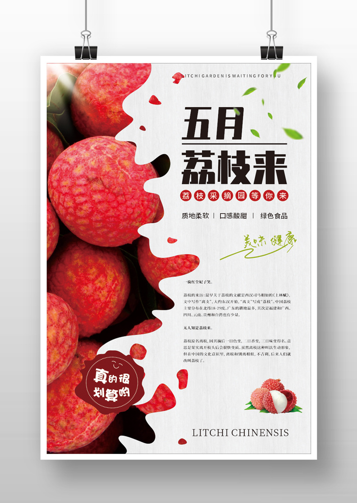 五月荔枝来cdr矢量模版下载