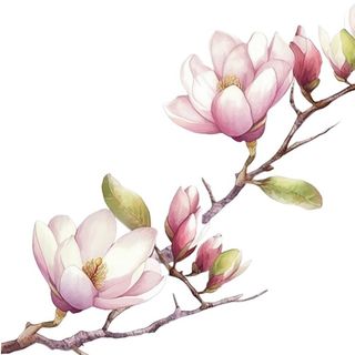 兰花手绘插画元素