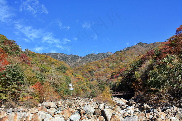 森林公园风景图片