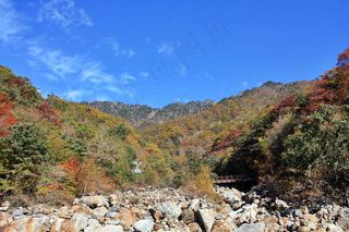 森林公园风景图片