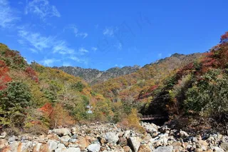 森林公园风景图片