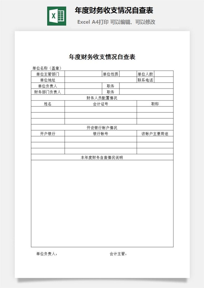 年度财务收支情况自查表excel模板