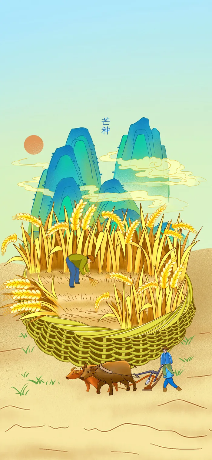 中国传统24节气芒种微信宣传海报