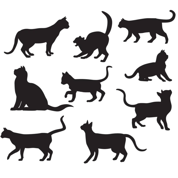 猫咪形态剪影