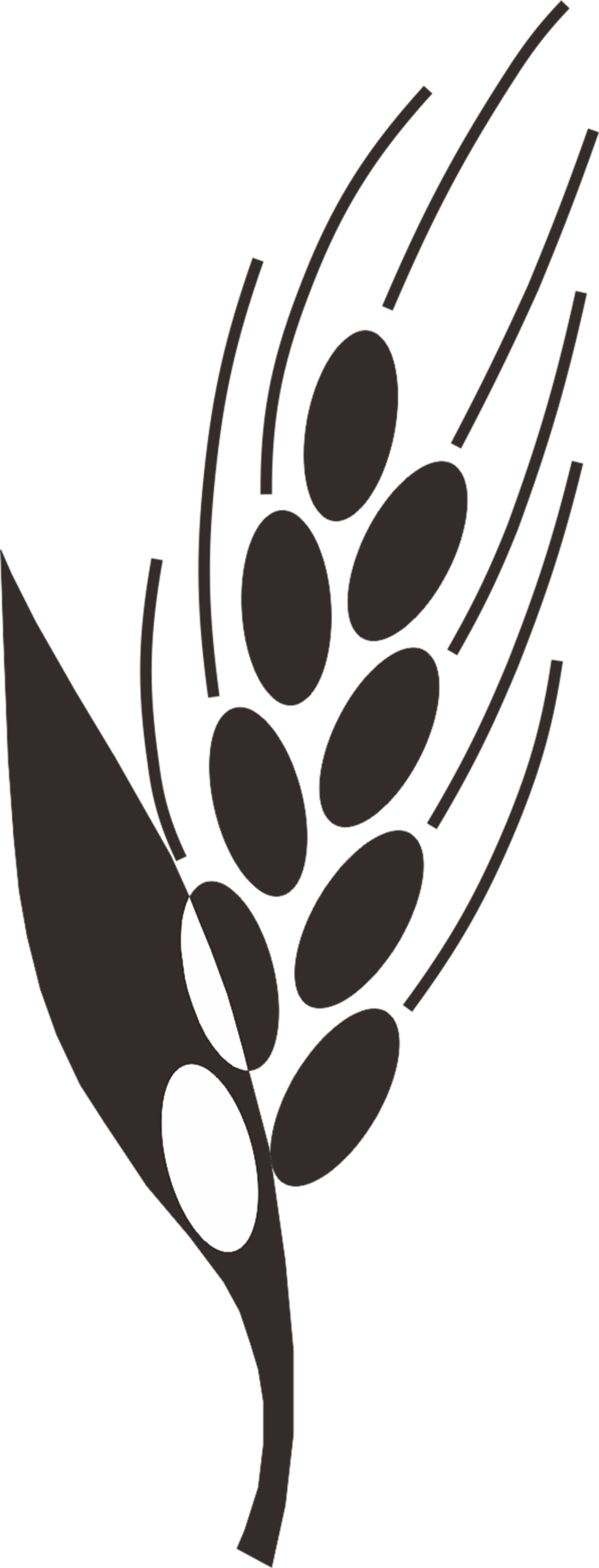 现代农业麦子剪影