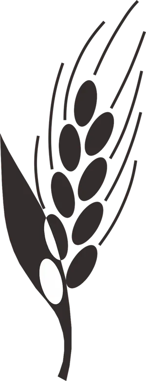 现代农业麦子剪影